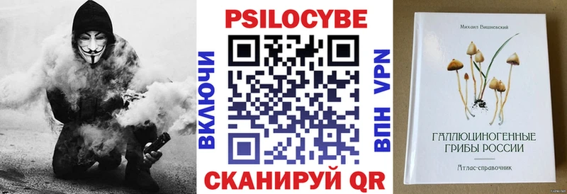 Псилоцибиновые грибы GOLDEN TEACHER  Купить закладки  Талица 