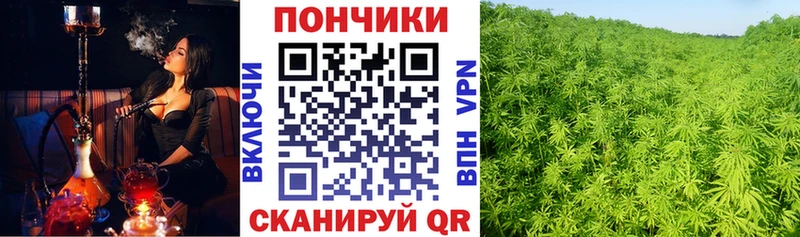Марихуана OG Kush Купить закладки Талица